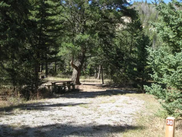Site 30, campsite surrounded by pine trees, picnic table & fire ring