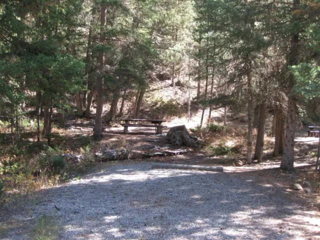 Site 31, campsite surrounded by pine trees, picnic table & fire ring