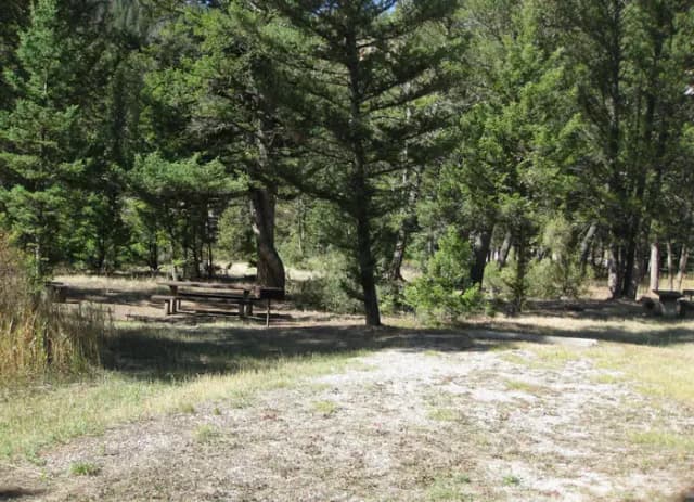 Site 32, campsite surrounded by pine trees, picnic table & fire ring
