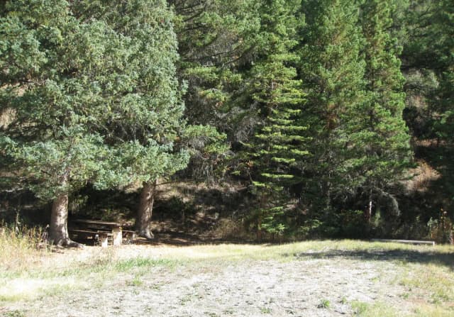 Site 33, campsite surrounded by pine trees, picnic table & fire ring