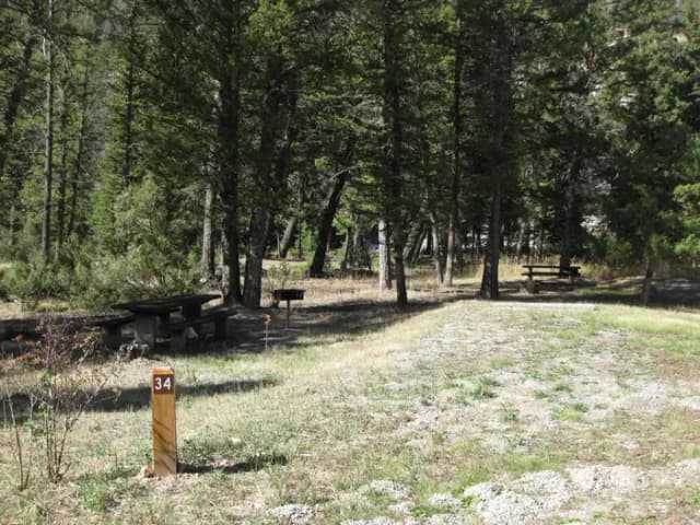 Site 34, campsite surrounded by pine trees, picnic table & fire ring