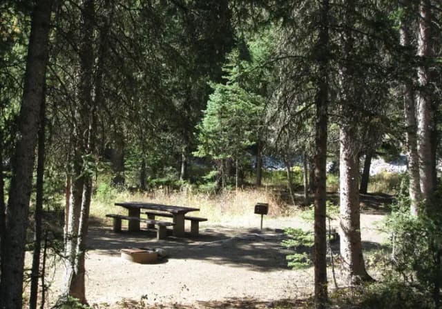 Site 36, campsite surrounded by pine trees, picnic table & fire ring