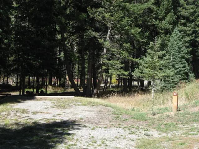Site 37, campsite surrounded by pine trees, picnic table & fire ring