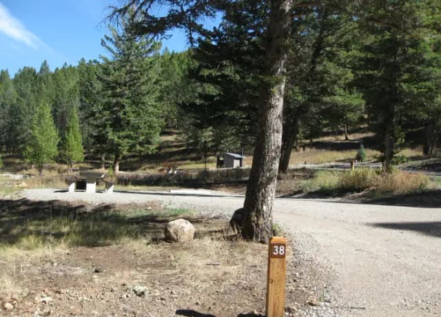 Site 38, campsite surrounded by pine trees, picnic table & fire ring