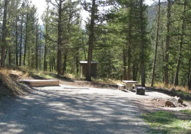Site 39, campsite surrounded by pine trees, picnic table & fire ring
