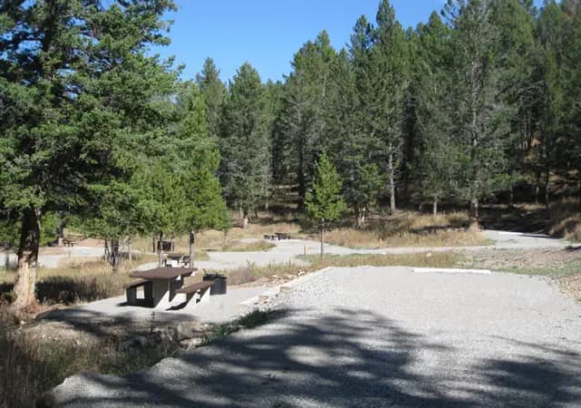 Site 41, campsite surrounded by pine trees, picnic table & fire ring