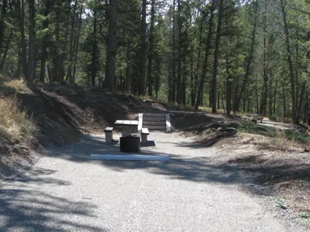 Site 42, campsite surrounded by pine trees, picnic table & fire ring