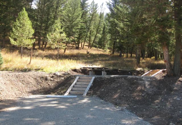 Site 43, campsite surrounded by pine trees, picnic table & fire ring