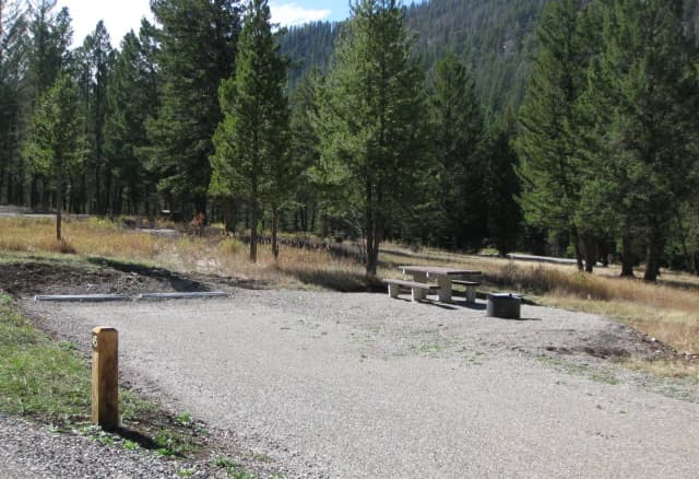 Site 45, campsite surrounded by pine trees, picnic table & fire ring