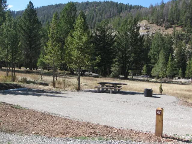 Site 47, campsite surrounded by pine trees, picnic table & fire ring