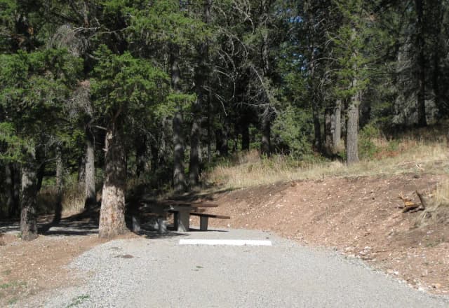 Site 48, campsite surrounded by pine trees, picnic table & fire ring