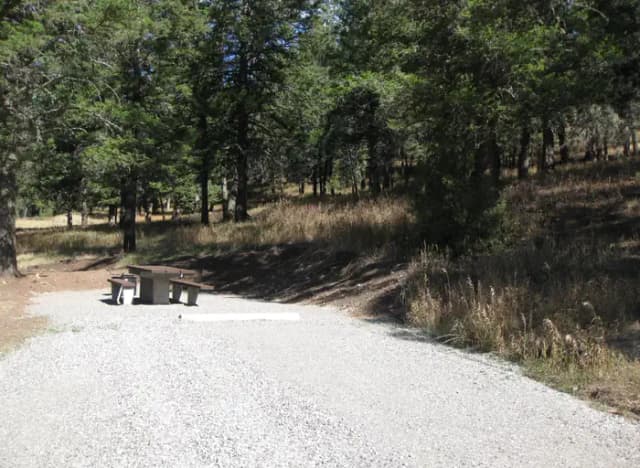 Site 50, campsite surrounded by pine trees, picnic table & fire ring