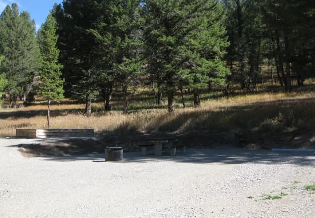 Site 51, campsite surrounded by pine trees, picnic table & fire ring