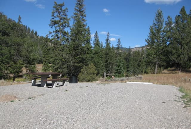 Site 52, campsite surrounded by pine trees, picnic table & fire ring