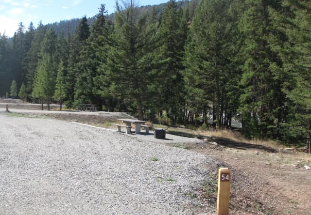 Site 54, campsite surrounded by pine trees, picnic table & fire ring