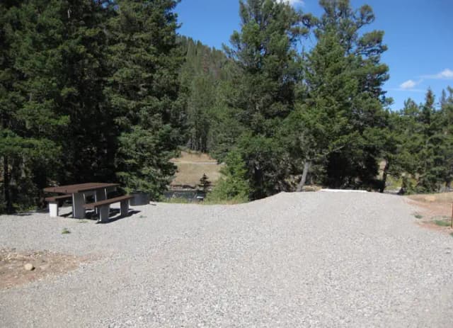 Site 53, campsite surrounded by pine trees, picnic table & fire ring