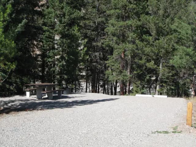 Site 55, campsite surrounded by pine trees, picnic table & fire ring