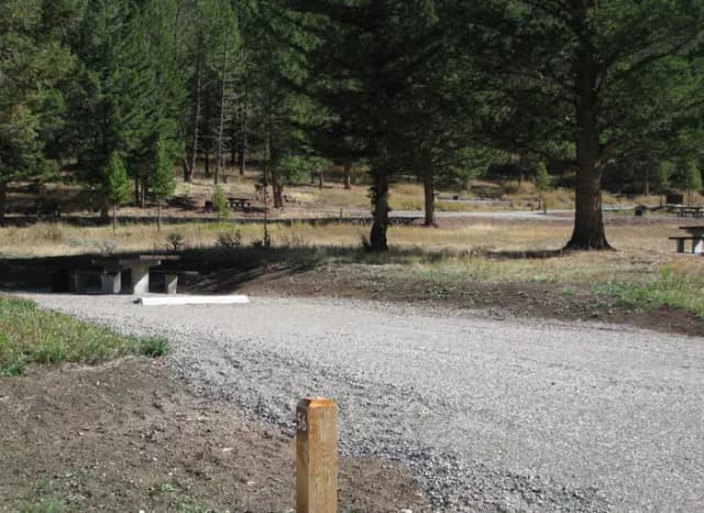 Site 56, campsite surrounded by pine trees, picnic table & fire ring
