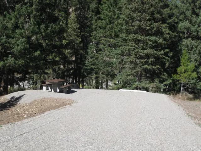 Site 57, campsite surrounded by pine trees, picnic table & fire ring