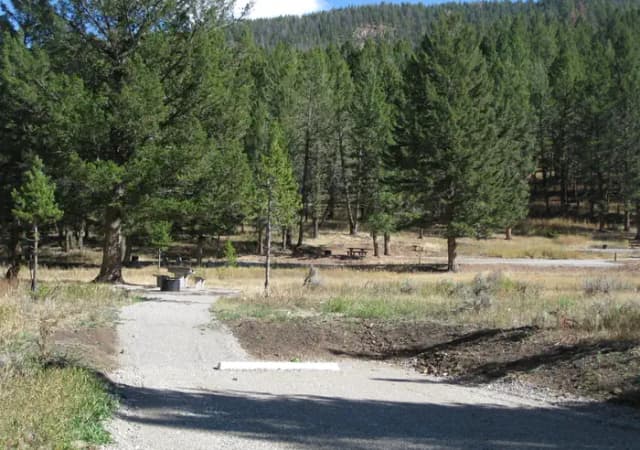 Site 58, campsite surrounded by pine trees, picnic table & fire ring