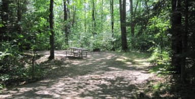 Site 9 Summer