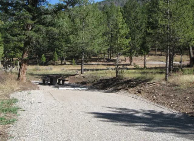 Site 60, campsite surrounded by pine trees, picnic table & fire ring