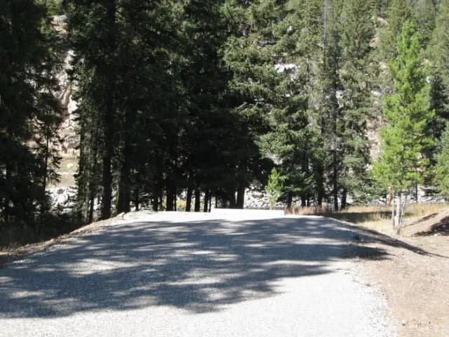Site 61, campsite surrounded by pine trees, picnic table & fire ring