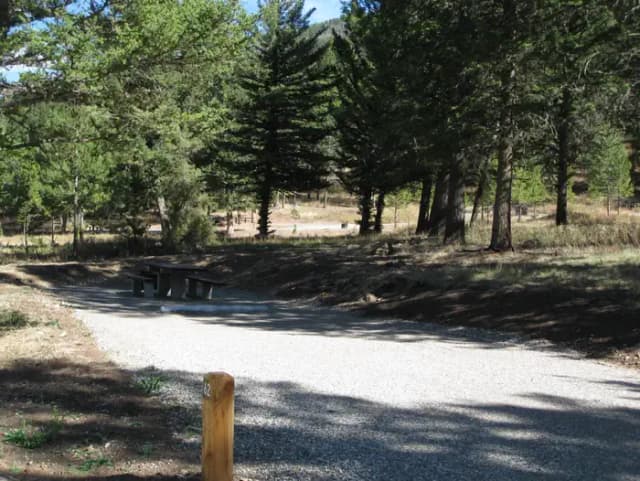 Site 62, campsite surrounded by pine trees, picnic table & fire ring