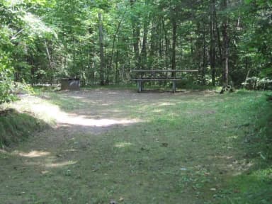 Site 12 Summer