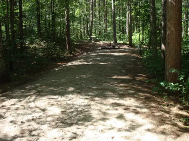 site 79