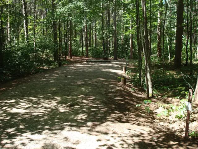 site 80