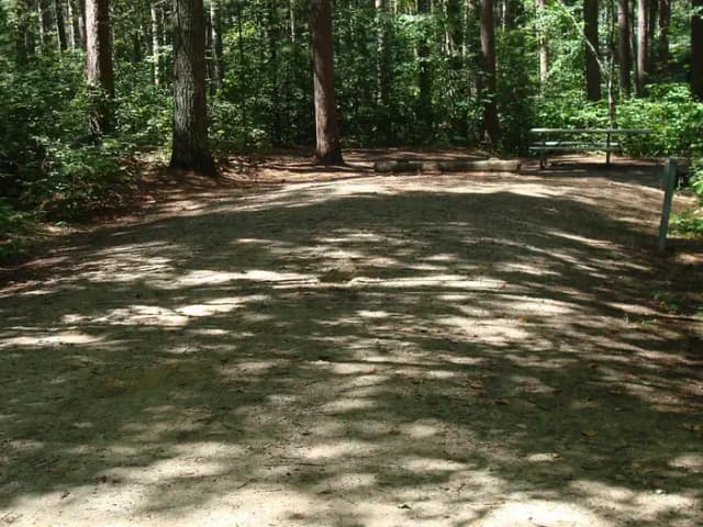 site 82