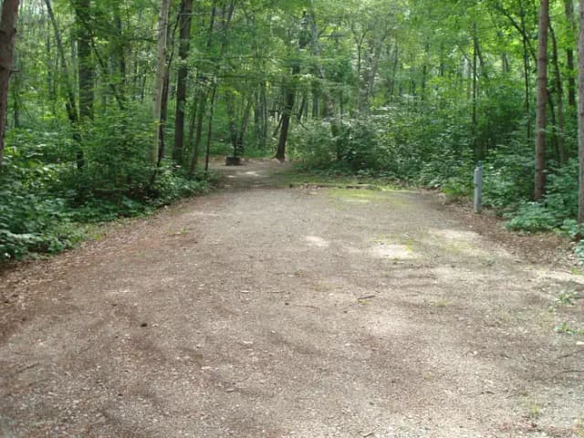 site 85
