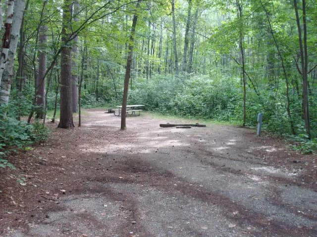 site 86