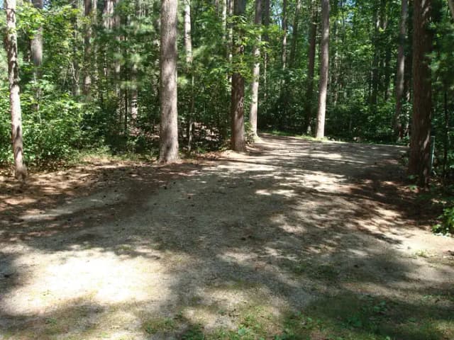 site 87