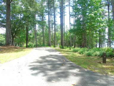 Campsite.