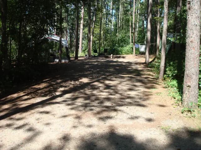 site 95