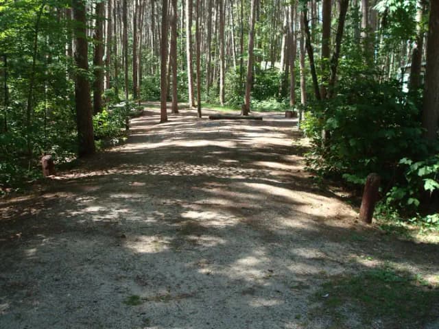 site 99
