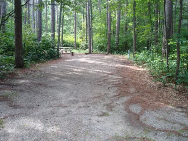 site 102