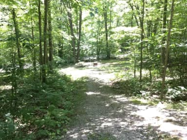 Dewdrop Site 4