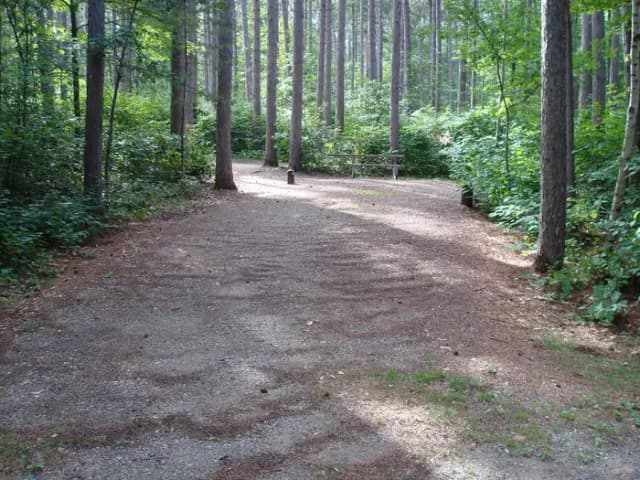 site 103