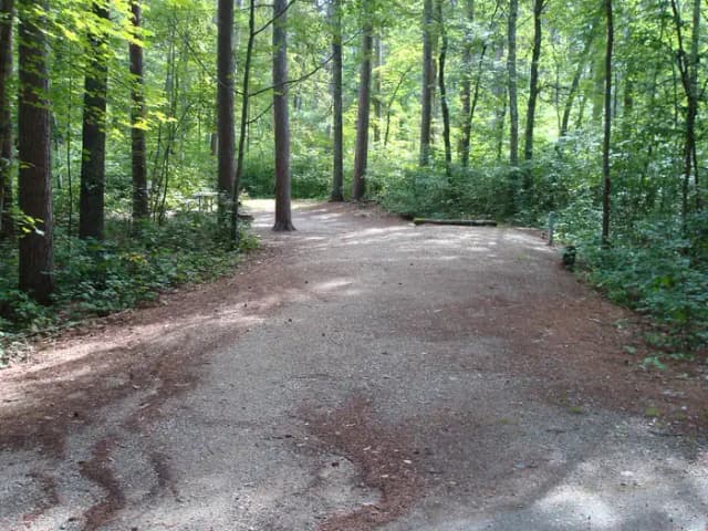 site 104