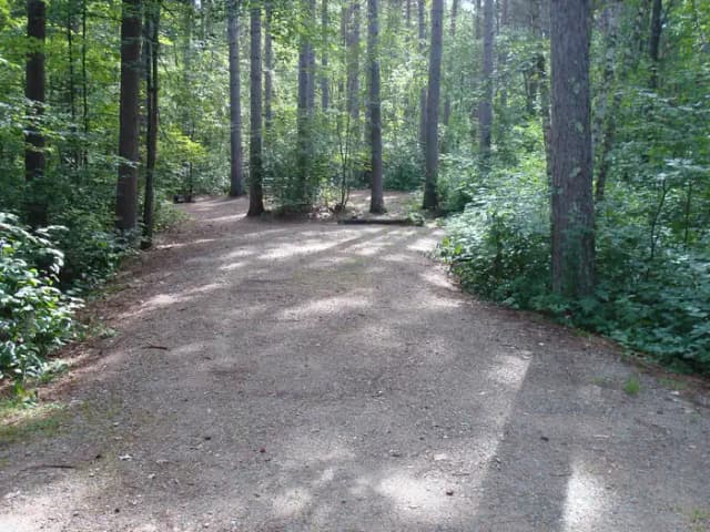 site 106