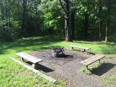 POTOMAC GROUP CAMPFIRE RING