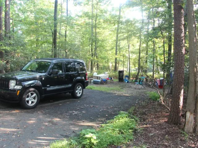 B Loop Site B 80 Greenbelt Park Maryland campground (Previously Site 79)