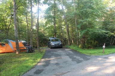 B Loop Site B 72 Greenbelt Park MD campground (Previously Site 73)