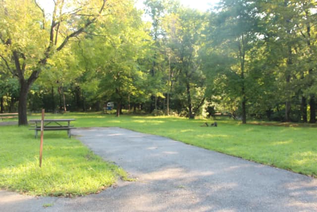 LOOP D · Site D140 at Greenbelt Campground