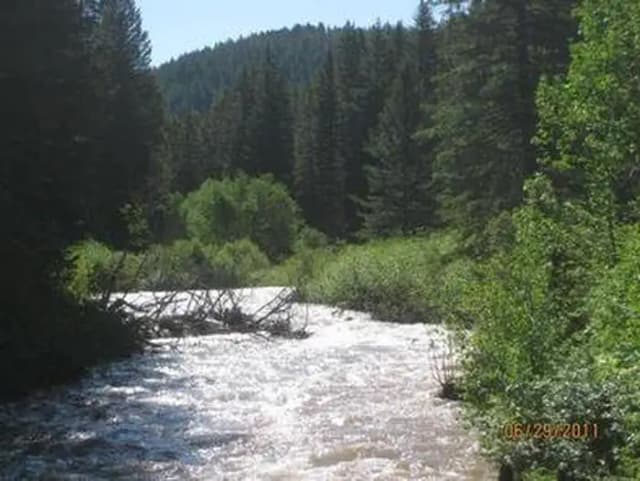 Storm Castle Creek surrounded by pine trees