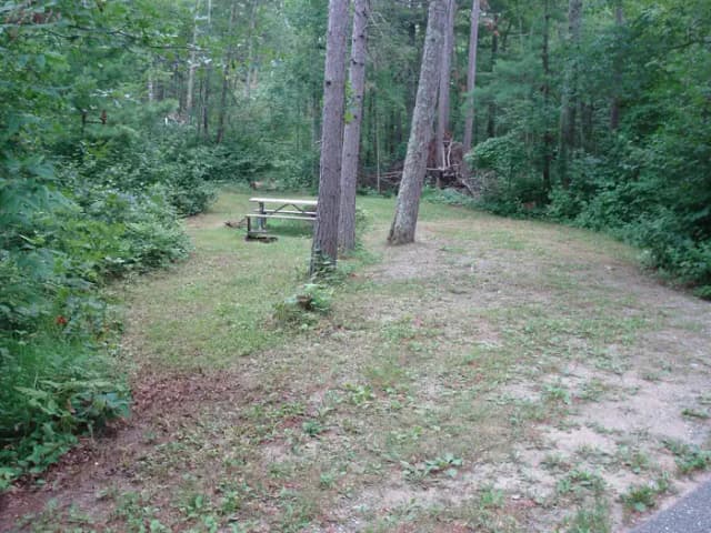 site 1