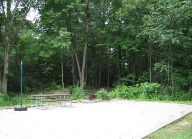 Site 1 Pad